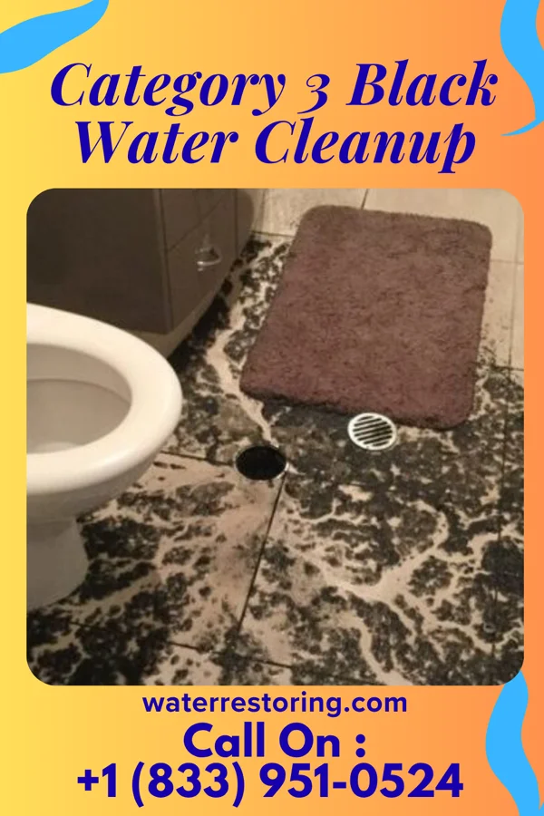 Category 3 Black Water Cleanup in Scott, OH
