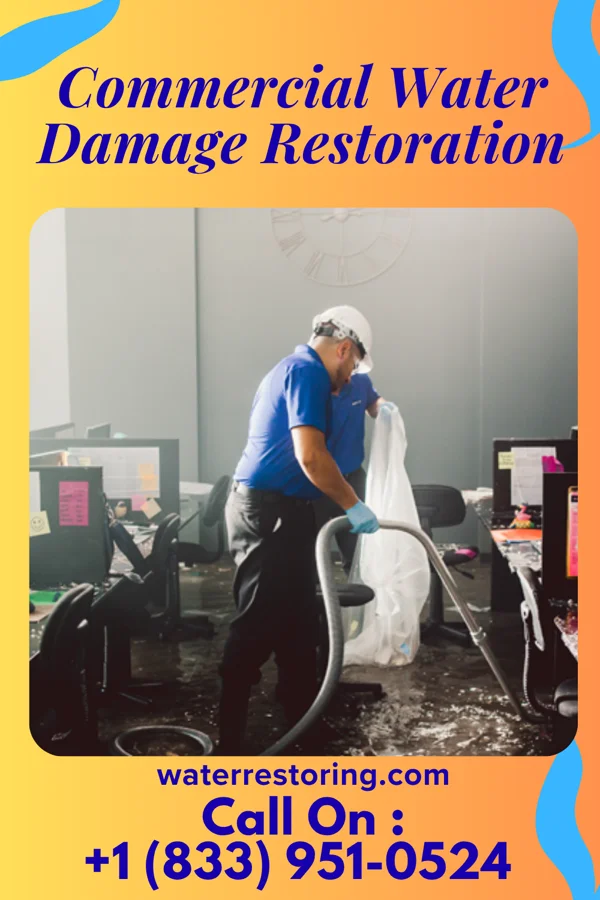 Commercial Water Damage Restoration in Scott, OH