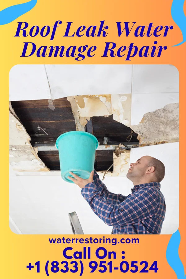 Roof Leak Water Damage Repair in Scott, OH